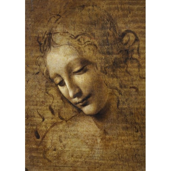 Złota głowa, Leonardo da Vinci, 1508, 1000el.(Lekko uszkodzone pudełko​) - Sklep Art Puzzle